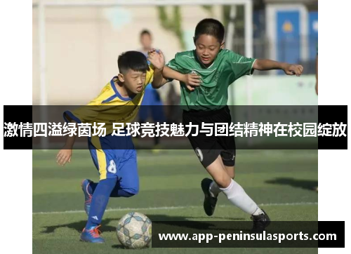 激情四溢绿茵场 足球竞技魅力与团结精神在校园绽放