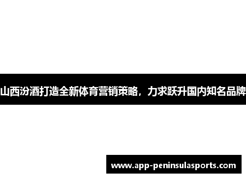 山西汾酒打造全新体育营销策略，力求跃升国内知名品牌